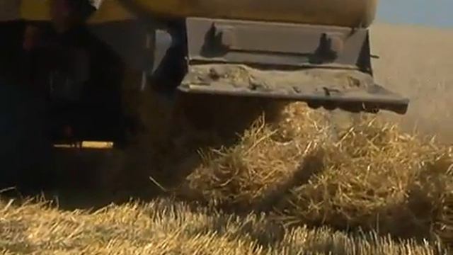 Много молока и мяса смотреть онлайн