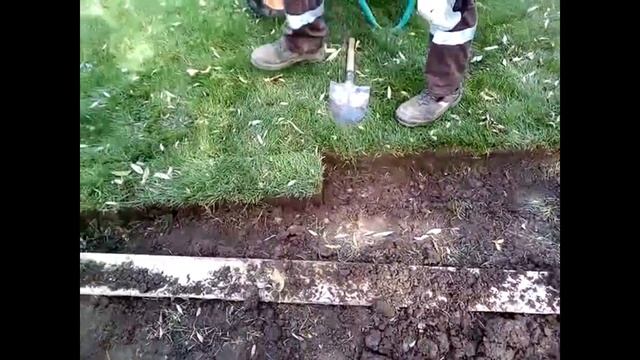 Рулонный газон своими руками Миф или реальность смотреть онлайн