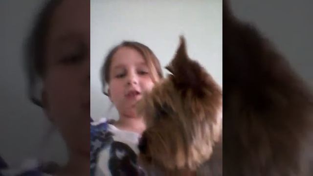 Типы чихающих людей / короче лада смотреть онлайн