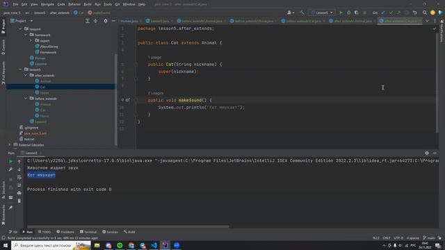 Java core 5 - Лекция 5 - Наследование смотреть онлайн