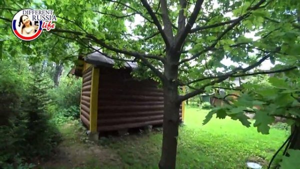 Haters Gonna Hate. How Trolls and Haters Help to Develop YT Channel? Russian Red Data Book