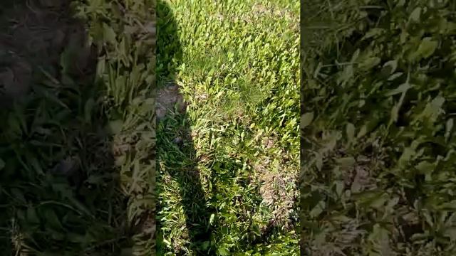 Как сделать бомбу(1) смотреть онлайн