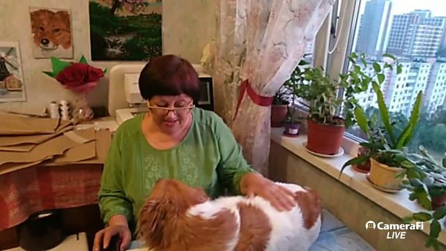 #850.Скажу до свидания😕или прощайте😉остаюсь😊 скоро встретимся смотреть онлайн