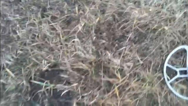 Makro Racer коп на лужайке смотреть онлайн