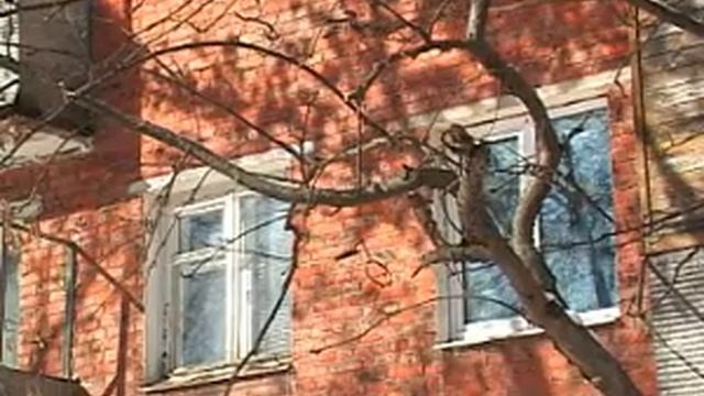 В городе Щёлково участились случаи политических провокаций смотреть онлайн