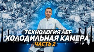 Холодильная камера акустической заморозки. Технология AEF. Производство ягод шоковая заморозка. Ч2