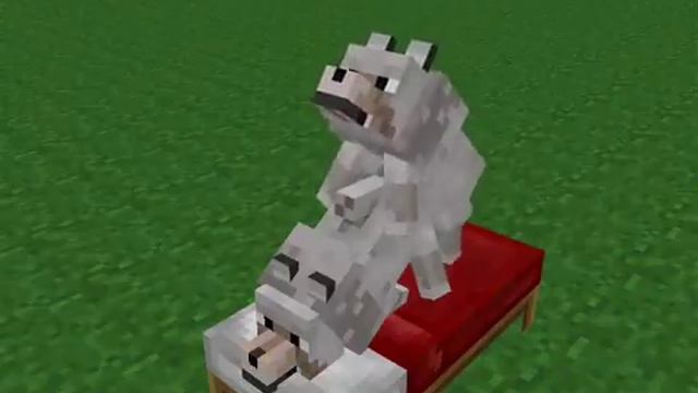 Minecraft WTF Animations | EP1 | How Wolfs Make Babies смотреть онлайн