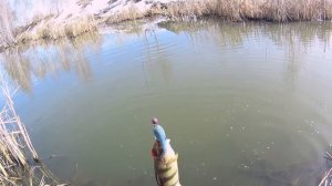 Поверил в ловлю на джиг. Ловля щуки на виброхвост .