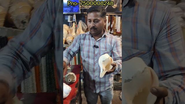 Vishnu shankh || Heart ke liye fayda hi fayda || Seashell shop in haridwar || Big Shankh shop смотреть онлайн