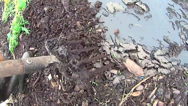 «Вее Вярк» После полива вермиложи 2:09-26.07.2015. 1