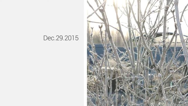 Мороз И солнце👏день чудесный👍🙌