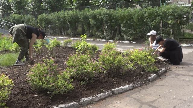 Обустройство, прополка и рыхление гряд, окучивание и полив насаждений смотреть онлайн