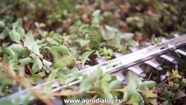 Аккумуляторная садовая техника Metabo смотреть онлайн