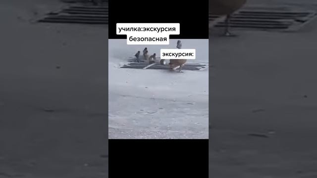 130. Экскурсия.webm смотреть онлайн