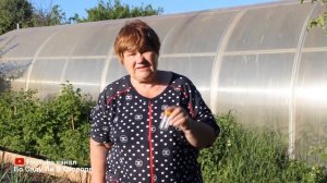 КАК ПОСАДИТЬ МОРКОВЬ чтобы НЕ ПРОРЕЖИВАТЬ.