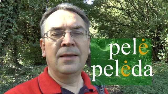 ЛИТОВСКИЙ ЯЗЫК - 5 УРОК - ФОНЕТИКА/ГЛАСНЫЕ БУКВЫ - Fonetika/balsės