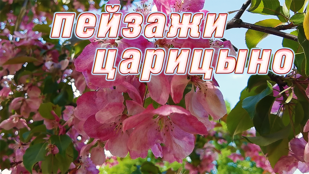 Лучшие места для отдыха и прогулок. Парк Царицыно и его пейзажи. смотреть онлайн