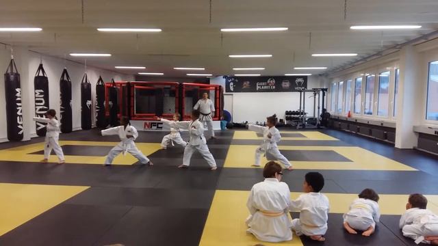 ST ANTON KARATE TRAINING WITH MR. HARIS REIZ - KARATE WORLD CHAMPION смотреть онлайн