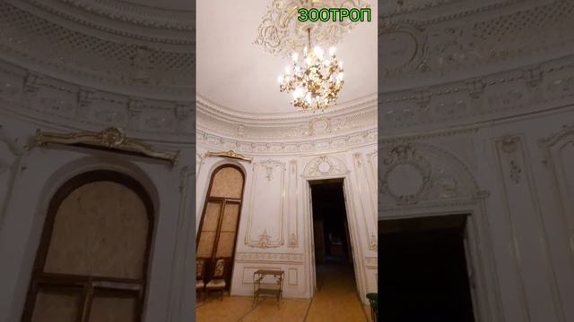 Попала ракета. Супер место. Одесса. Дом ученых. Усадьба Толстых. Сабанеев. Военный спуск. #зоотроп