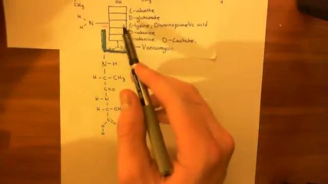 Vancomycin Resistant Enterococcus Part 3 смотреть онлайн