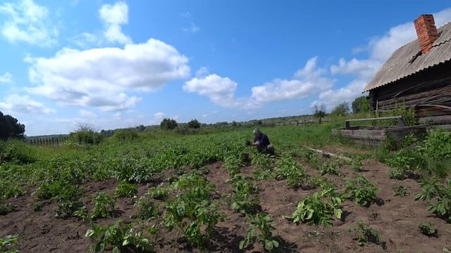 ЧТО У МЕНЯ ТВОРИТСЯ В ОГОРОДЕ, ПРИВОЖУ УЧАСТОК В ПОРЯДОК смотреть онлайн