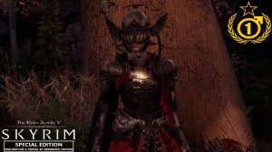 Добираюсь До Города #1 TES Skyrim RfaD