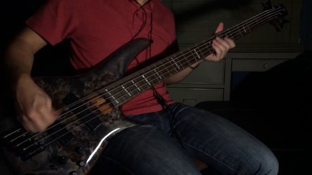 Trivium - Torn Between Scylla And Charibdis | Bass cover смотреть онлайн