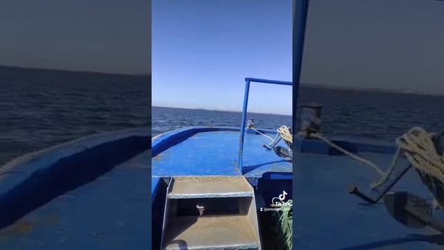 #Балтийское море #треска #рыбалка# Калининград смотреть онлайн