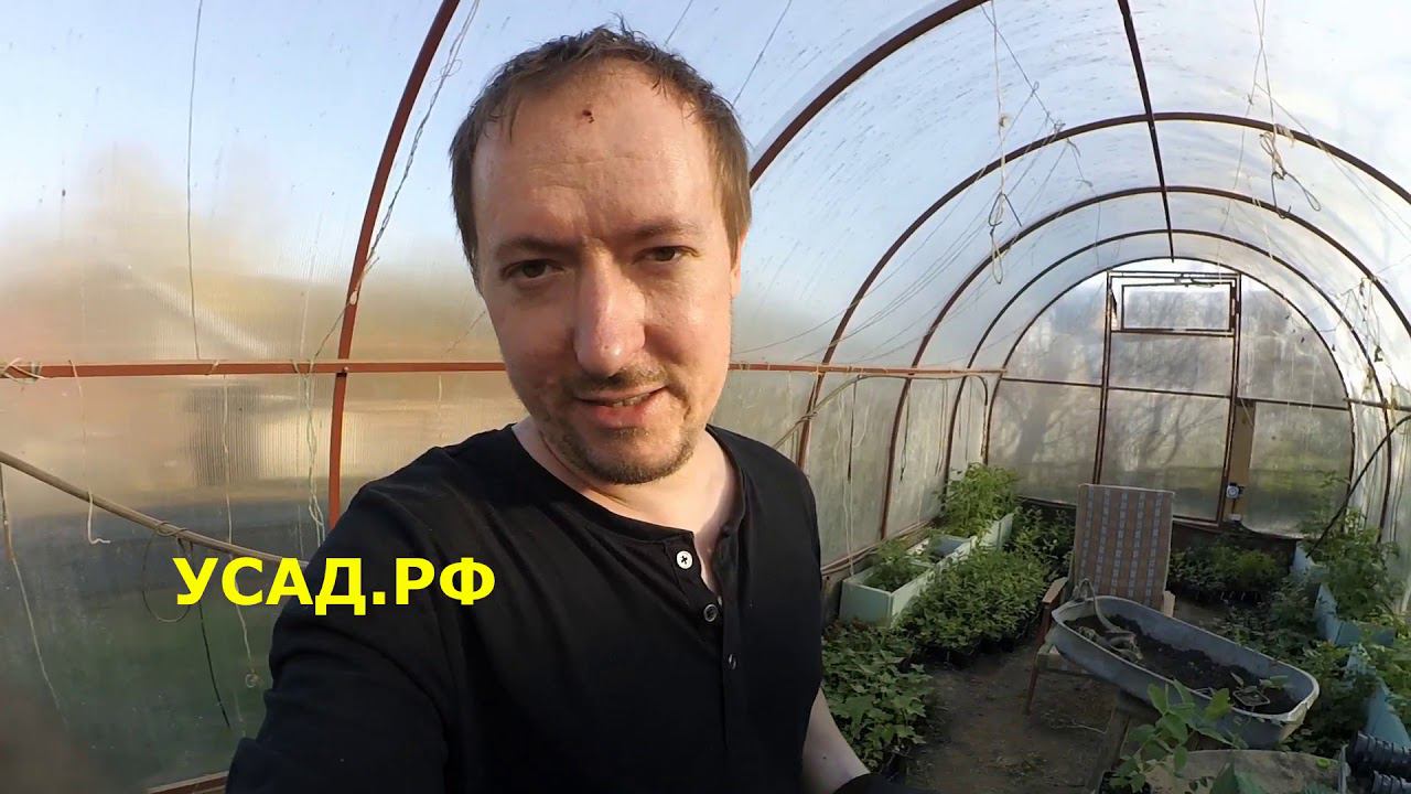 УСАД.РФ - наш новый сайт! ЛУЧШИЕ СОРТА ЕЖЕВИКИ, СМОРОДИНЫ, ЖИМОЛОСТИ, РОЗ. Купить саженцы. смотреть онлайн