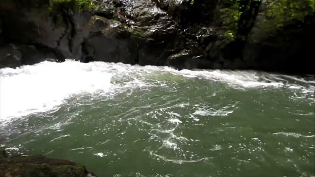 Коста-Рика. Горная река Савегре. смотреть онлайн