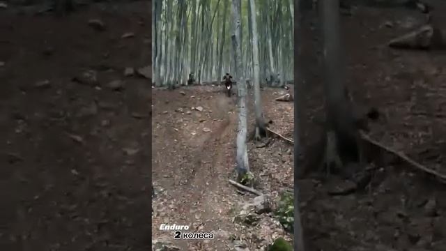 эндуро крым.#мото # чебуречка 2023 год смотреть онлайн