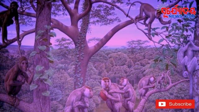 Rahasya Kete Sata Kete Micha II Odia Rahasya ll Human Evolution and Dinosaur ll Manav Sabhyata смотреть онлайн