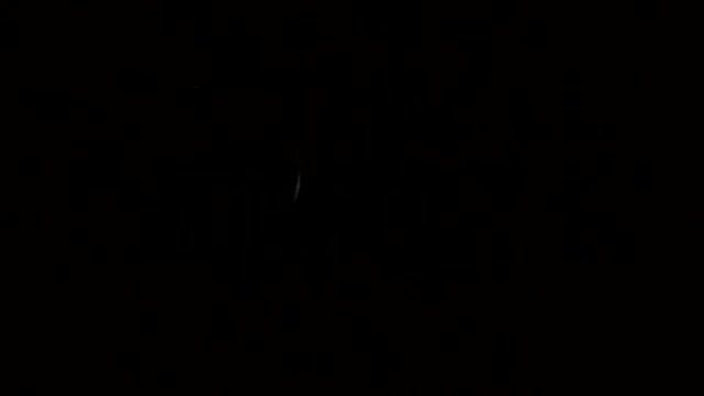 Timex Easy Reader T28201 : обзор часов