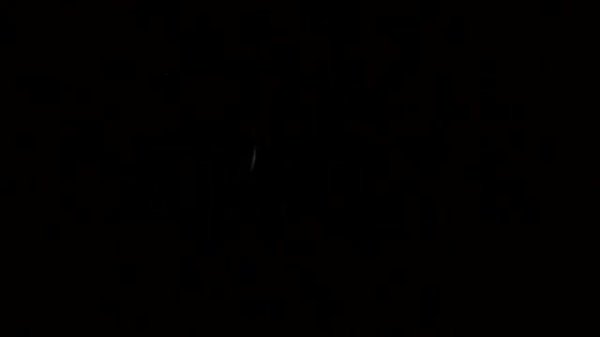 Timex easy reader T28201 : обзор часов