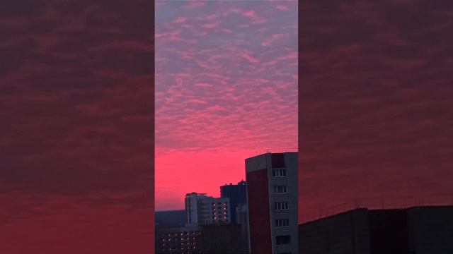 Let’s die together, Я не шучу — IC3PEAK кавер на гитаре #cover #ic3peak смотреть онлайн