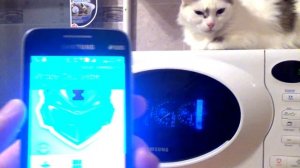 Эксперимент. Телефон в микроволновке.