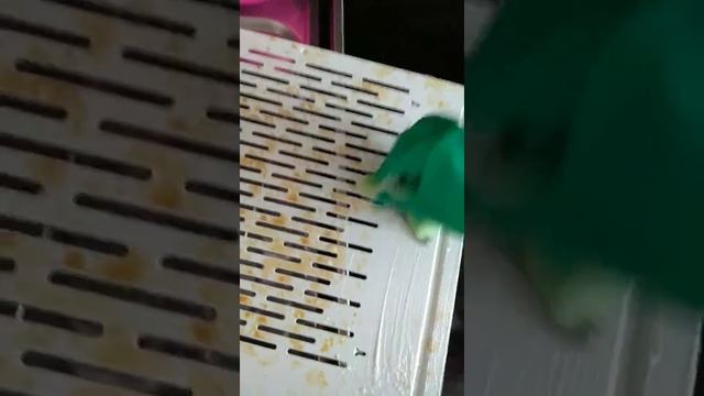 Как за 5 минут отмыть вентиляционную решётку. смотреть онлайн