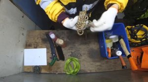 Какое снаряжение нужно для Арбористики #arborist#снаряжение#снаряженеидляарбористики#спилдерева#wor