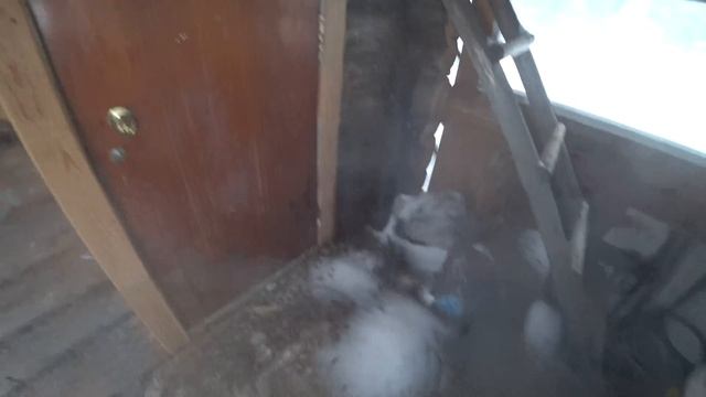 Они хотели встретить здесь КОНЕЦ СВЕТА \ Посетил 8 хижин ОТШЕЛЬНИКОВ смотреть онлайн
