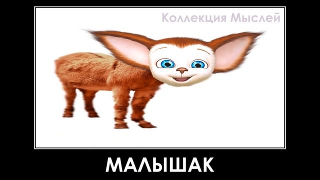 Барбоскины + ШИЗА =