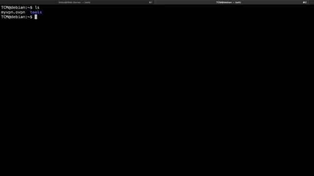 53 Linux Privilege Escalation | Offensive Security Certified Professional смотреть онлайн