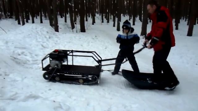 SDC10256 смотреть онлайн