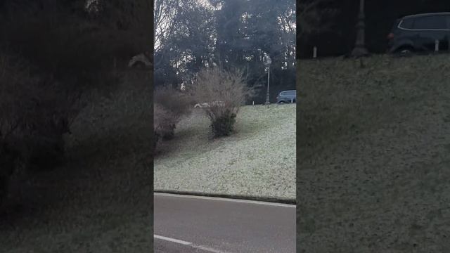 Италия мороз в Италии минус 3 градусов смотреть онлайн