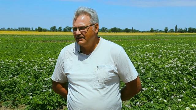 Можно ли обойтись без профилактической обработки смотреть онлайн
