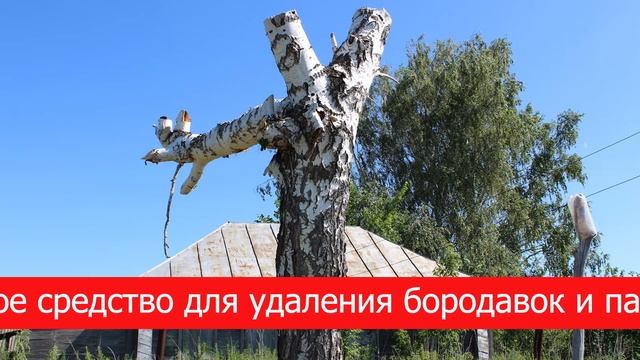 Продаю дом и патентованное средство для удаления бородавок и папиллом в нём!!! смотреть онлайн