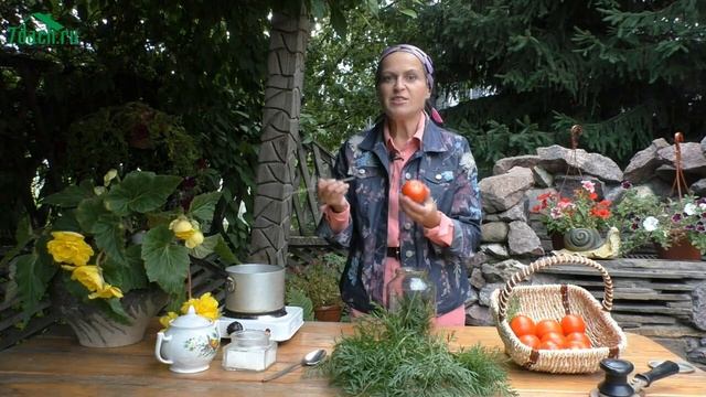 Томаты, маринованные с морковной ботвой - 7 дач смотреть онлайн