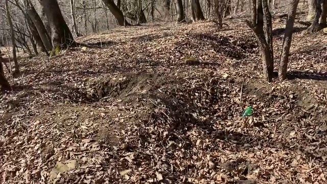 Домик в горах. Ушёл в лес ,нашел огромное дупло. смотреть онлайн
