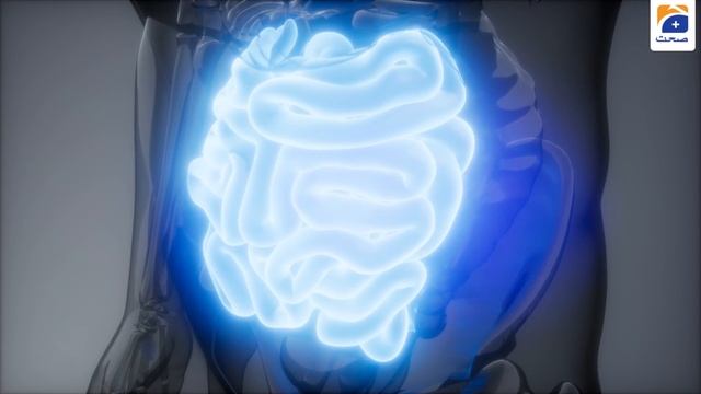 Why You Must Consume Soaked Anjeer Daily In The Morning | Geo Health