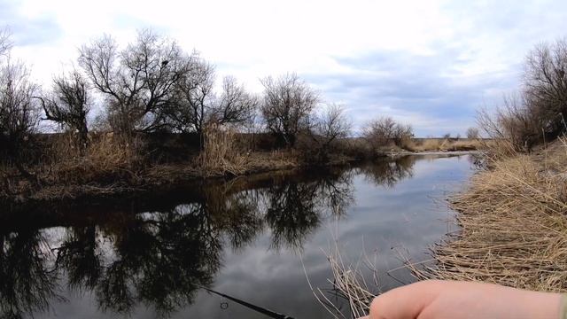 ЛОВЛЯ ЯЗЯ НА СПИННИНГ В АПРЕЛЕ !!!! ZipBaits Rigge 35 #Язь #ЯЗЬ Наспиннинг #ZipBaits Rigge 35 смотреть онлайн