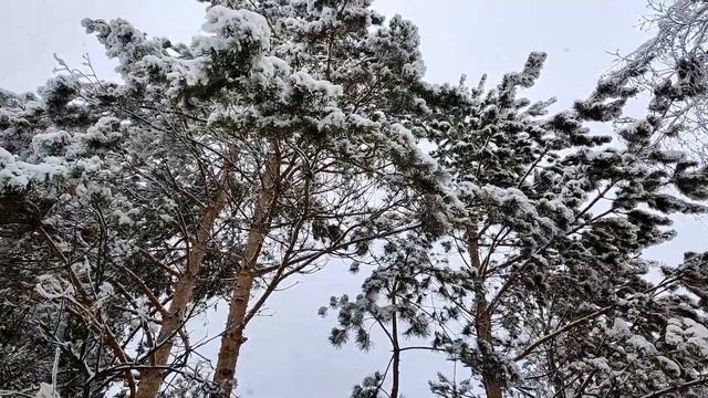 ВЛОГ. Мои новогодние каникулы. Отдых в городе! смотреть онлайн